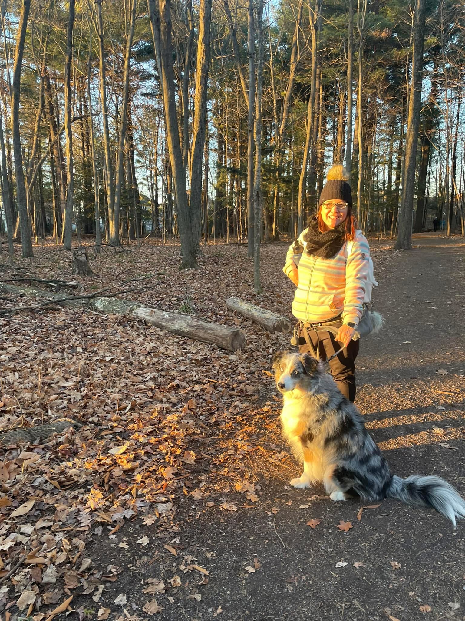 Promenade de votre chien - Image 1