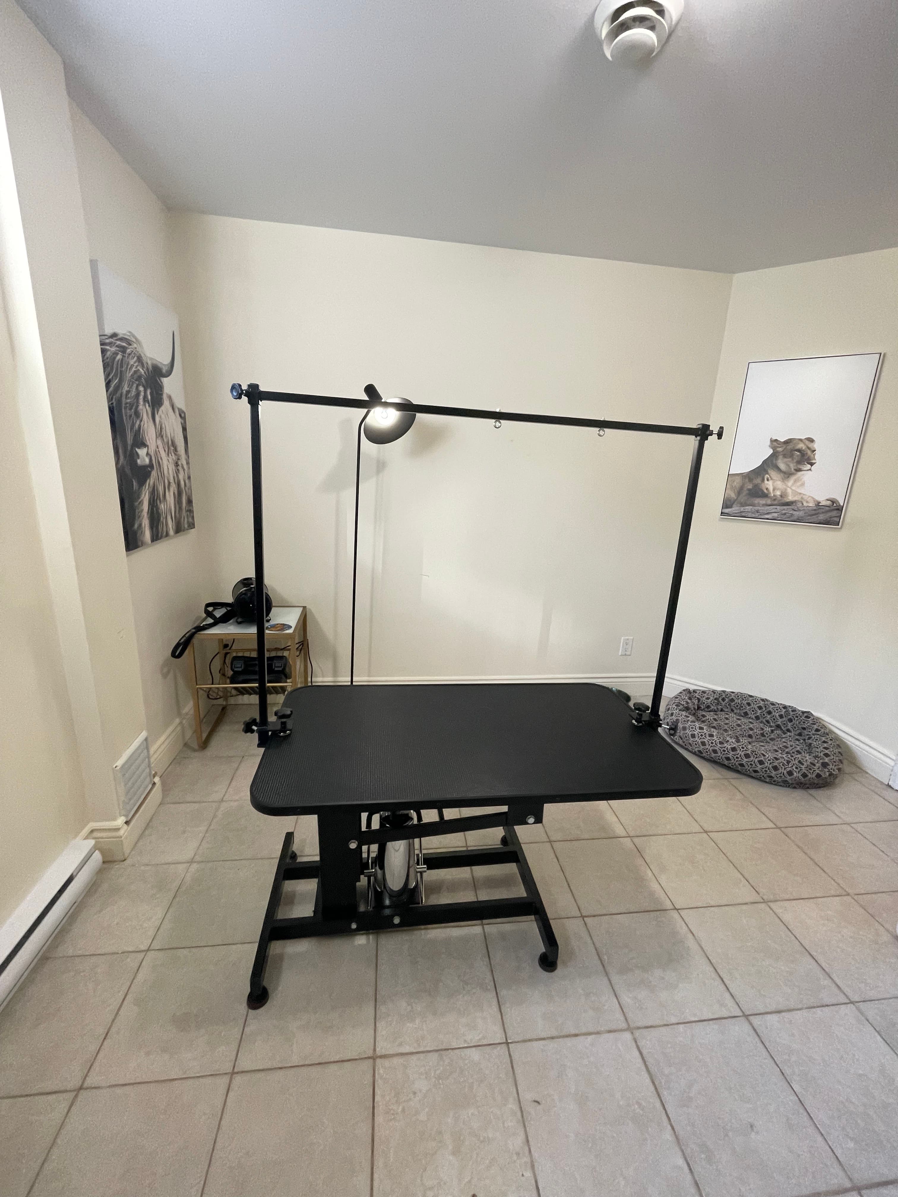 Toilettage & tonte du chien