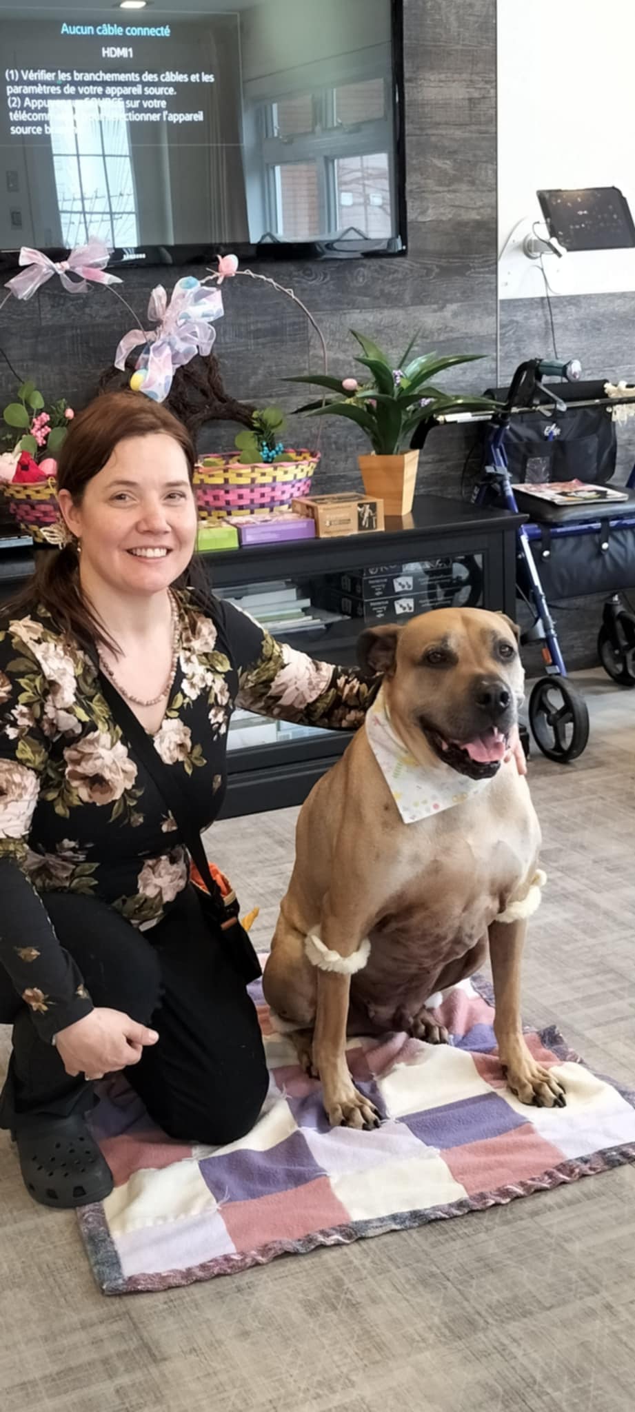 Zoothérapie - Image 1