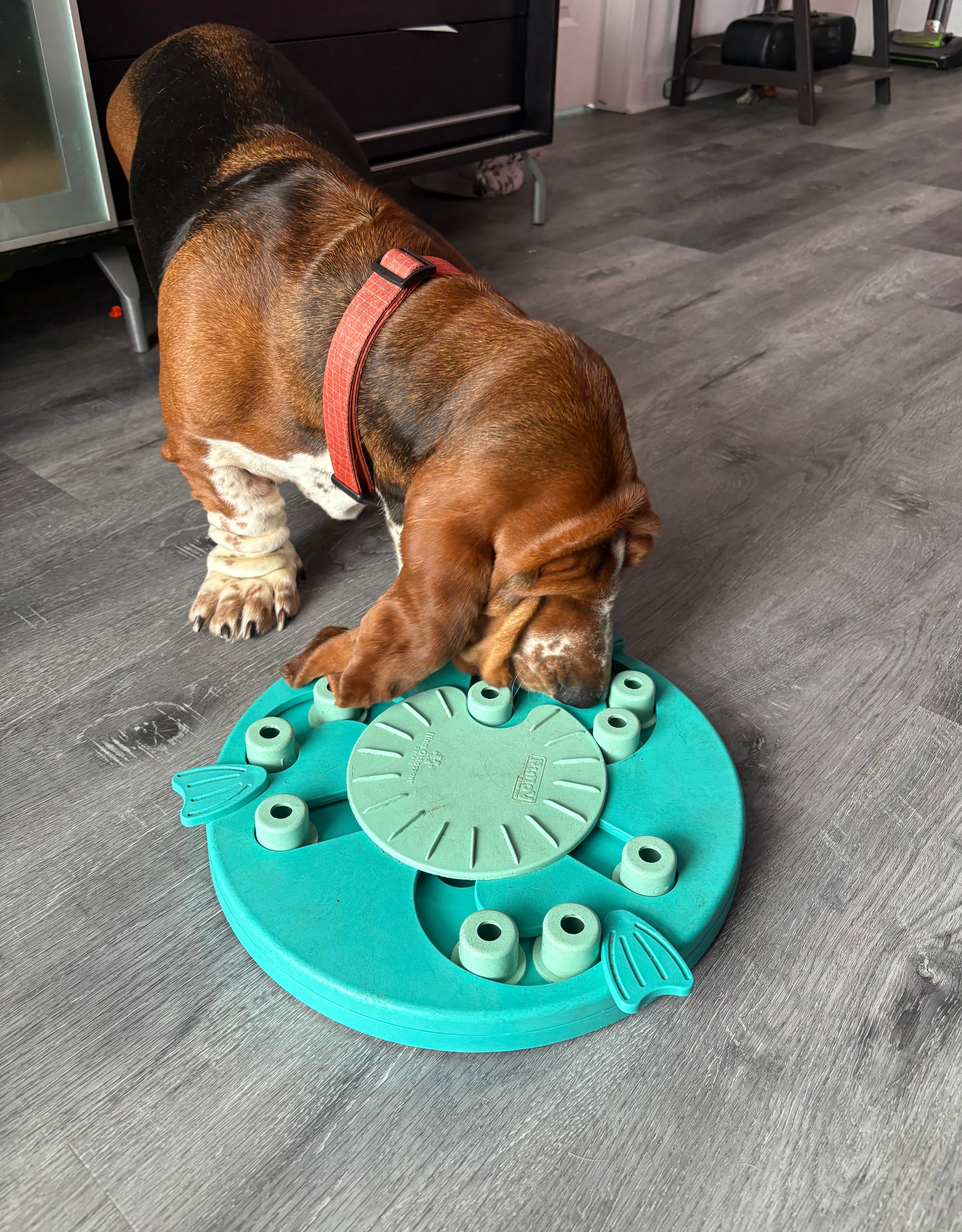 Service à domicile - Image 3