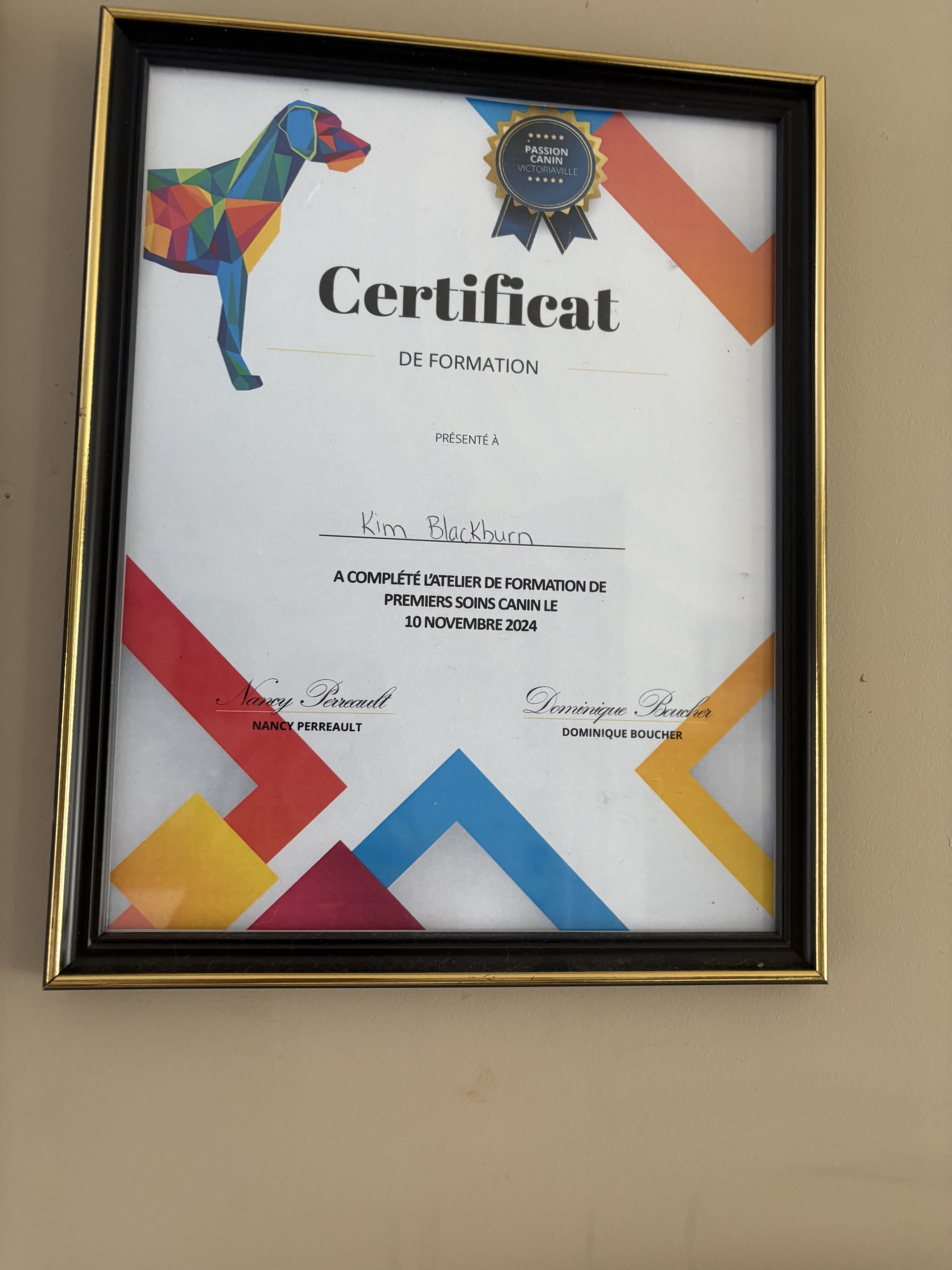 Réanimation cardiaque et premiers soins chez le chien - Certificat 1