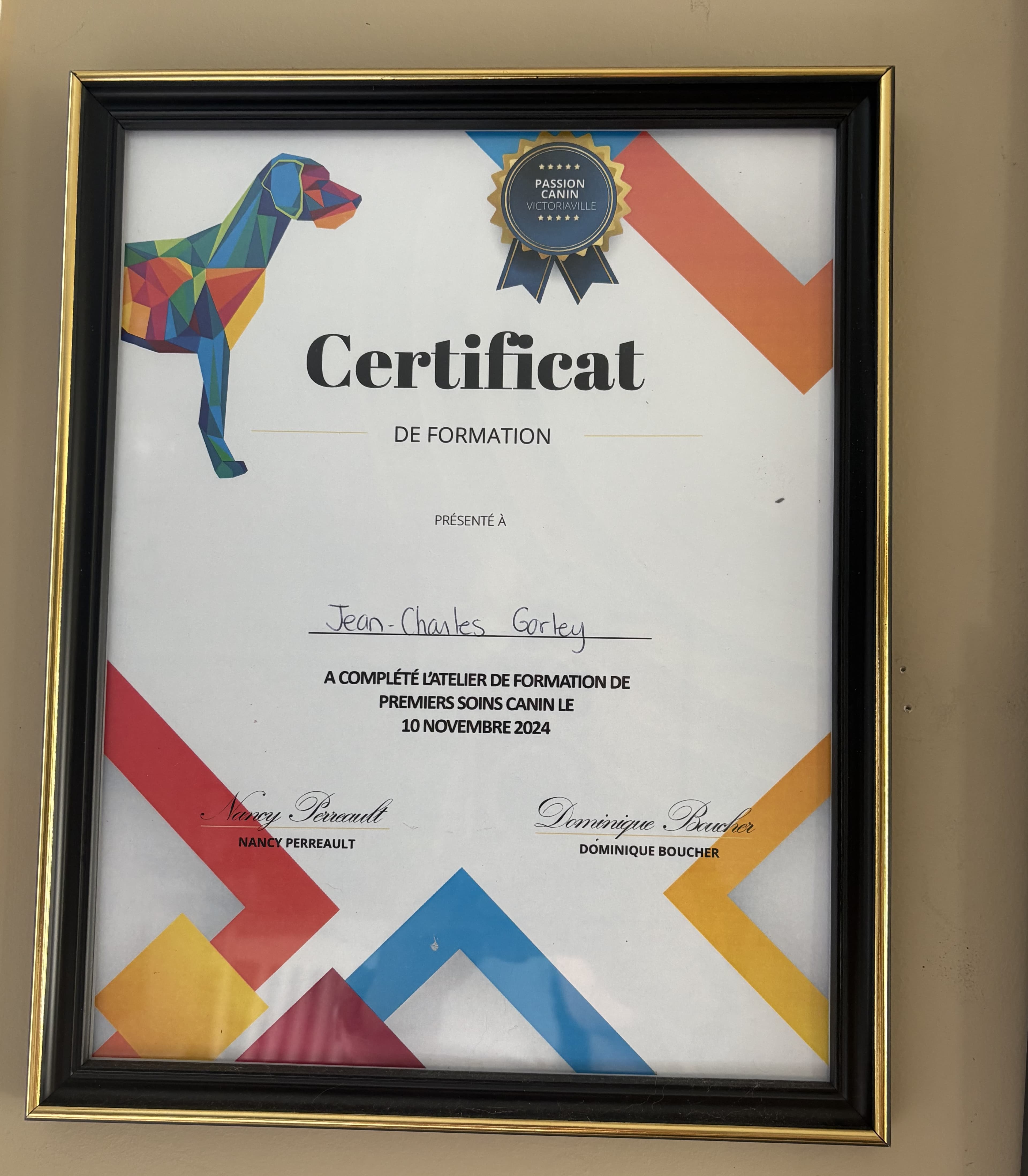 Réanimation cardiaque et premiers soins chez le chien - Certificat 2