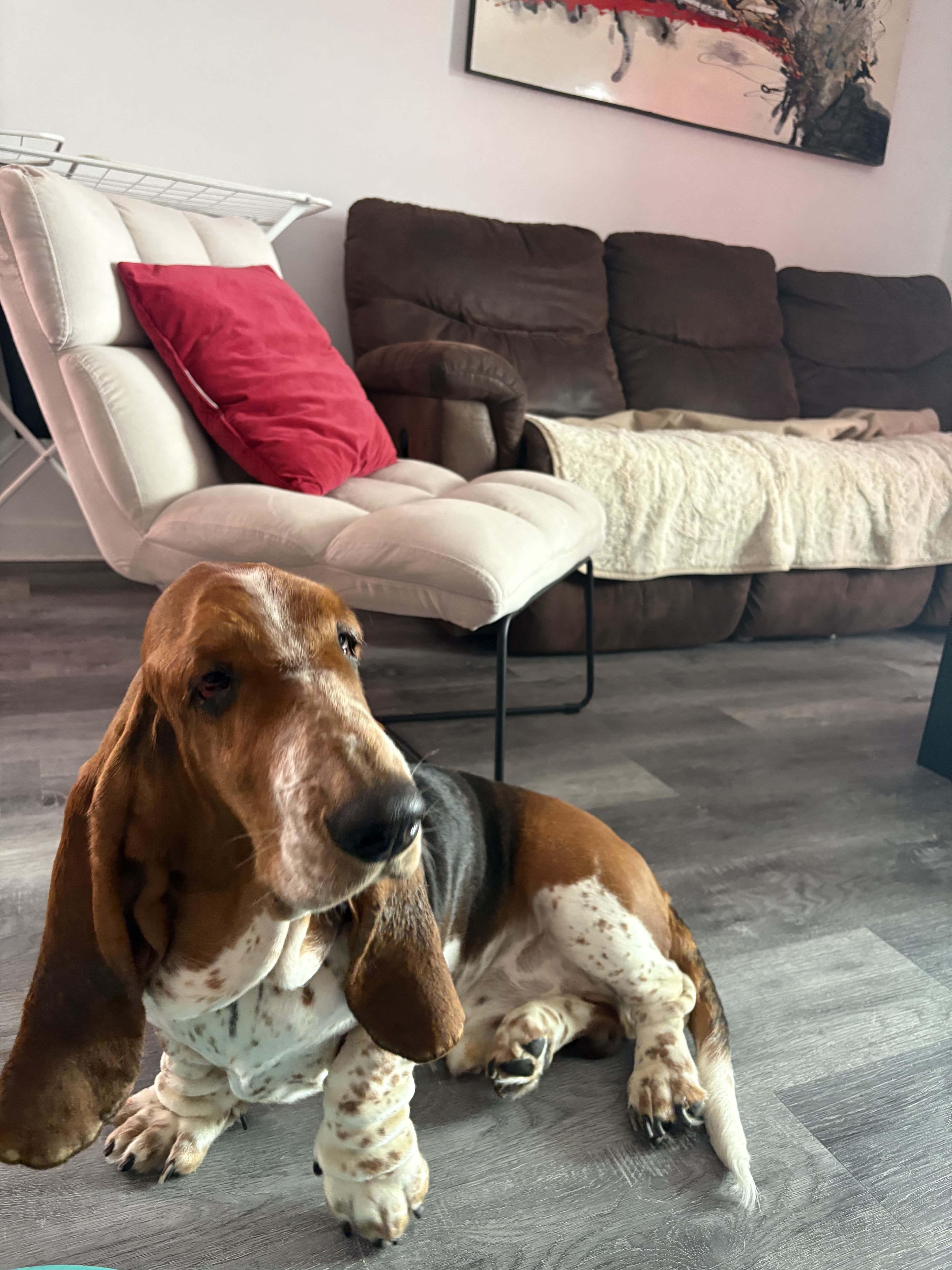 Service à domicile - Image 2