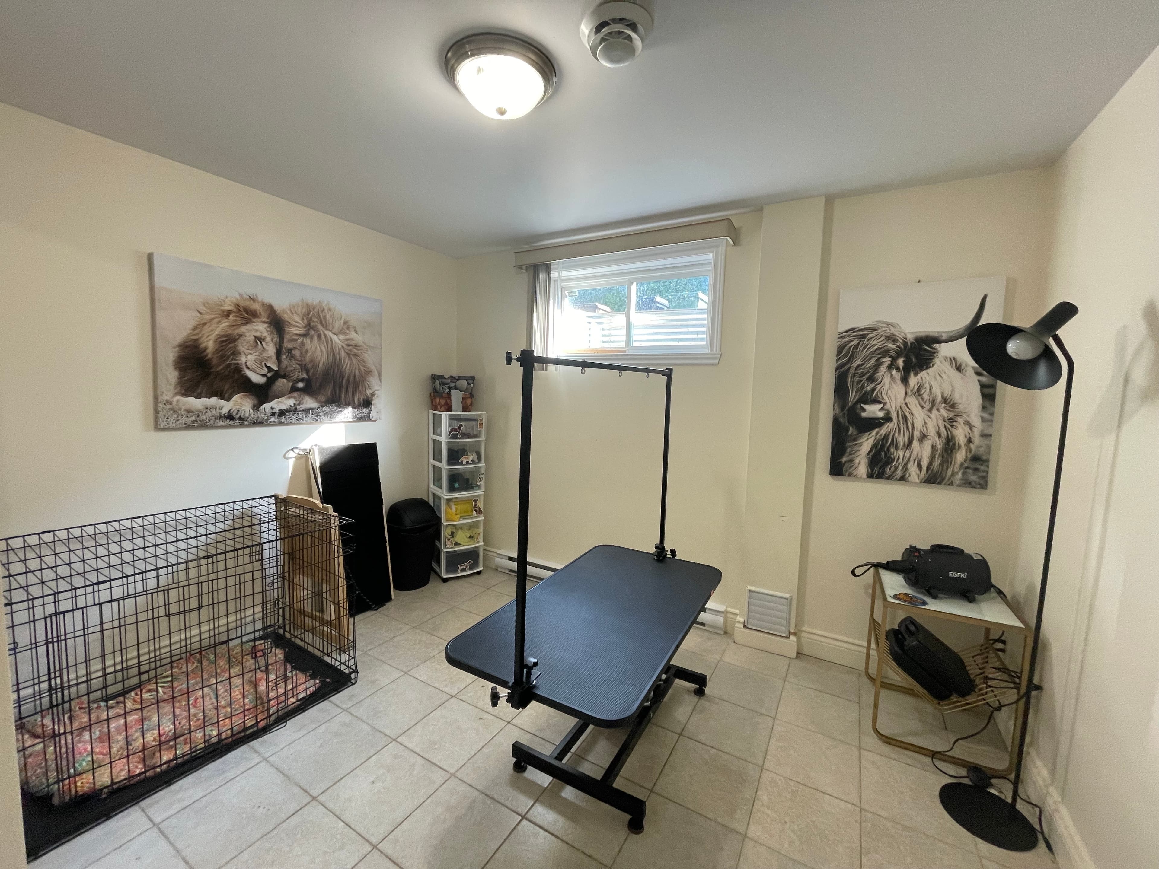 Toilettage – coupe de griffes - Image 2