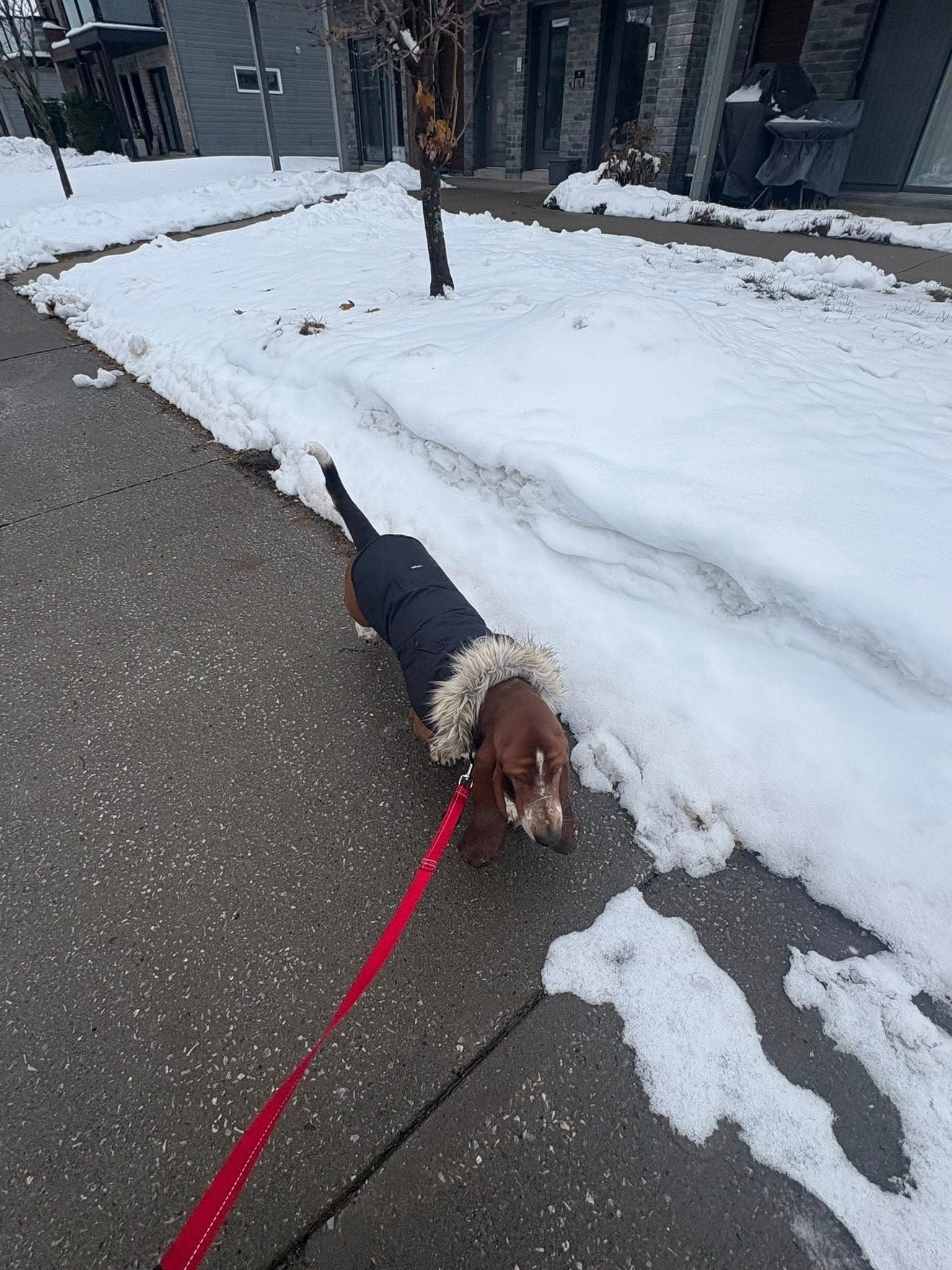 Service à domicile - Image 1